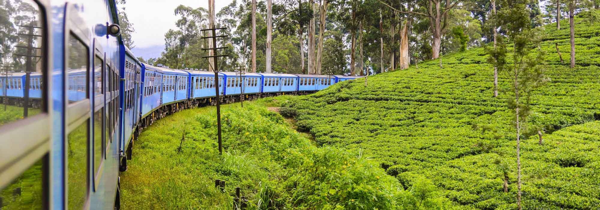 Destination Banner